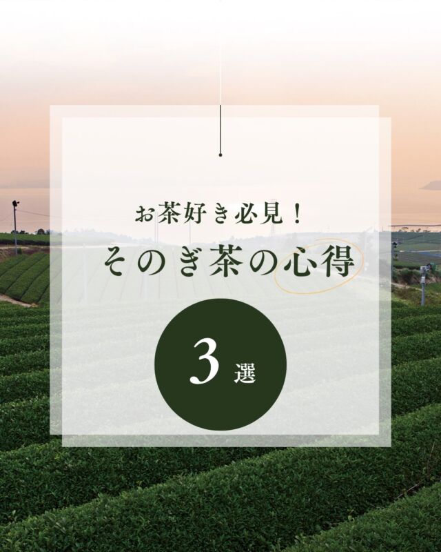 .
そのぎ茶とは・・・
今回は「そのぎ茶」ファンの皆さまにぜひ覚えていただきたいそのぎ茶の特徴3つについてお話しします。
✏️そのぎ茶は「日本一」のお茶
日本のお茶業界には2つの大きなコンテストがあります。ひとつ目は、生産者の茶育成技術の優劣を競う「全国茶品評会」。この品評会では過去に5度の最高賞にあたる農林水産大臣賞と4度の産地賞を受賞しています。もうひとつは、消費者が選ぶ美味しいお茶コンテスト「日本茶アワード」。こちらは開催回数の浅い新しいコンテストになりますが、なんと、そのぎ茶として4度の最高賞にあたる日本茶大賞を受賞しています。
✏️そのぎ茶は「蒸し製玉緑茶」という製法で作られる
日本で一般的に流通しているお茶は、「煎茶」と言われるお茶で、針金状にピンと伸びているのが特徴です。それに比べてそのぎ茶は、茶葉を伸ばす「精揉」という工程がなく、勾玉状に茶葉が丸まっているのが特徴です。工程をひとつ省いている分、より本来の茶葉の状態に近いため、お湯を淹れたときの茶葉の開きが早く、一煎目から濃い味のお茶を楽しむことができます。
また、そのぎ茶は全国で栽培されているお茶の面積のわずか「1%」というとても希少なお茶でもあります。
✏️そのぎ茶は海の見える茶畑で栽培されている
そのぎ茶は全国的にも珍しい、海が見える茶畑で栽培されています。お茶に限らず農作物は基本、海のそばで栽培することは塩害の可能性があるため、あまり好んで大規模に栽培されることはありません。ただ長崎県の中心にある「大村湾」という海は、年中波が穏やかなため、昭和3年に今の赤木集団茶園にあたる赤木原で開墾が行われました。
まだまだお話ししたいことは山ほどありますが、今回はここまで。
これからも「そのぎ茶」は、他産地のお茶とは異なる3つの大きな特徴をお茶の販売と一緒に消費者の皆さまへお伝えしていきます💪
#そのぎ茶 #日本一のお茶 #玉緑茶 #海の見える茶畑 #東彼杵