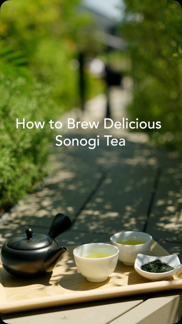 ．
How to Brew Delicious Sonogi Tea

#nagasaki #higashisonogi #sonogitea #そのぎ茶 #玉緑茶